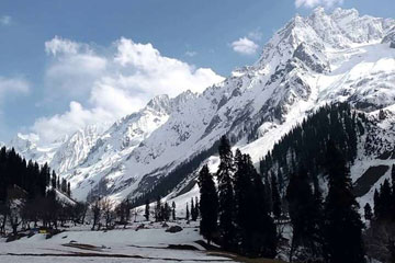 Srinagar Sonmarg Pahalgam Gulmarg 6 days tour